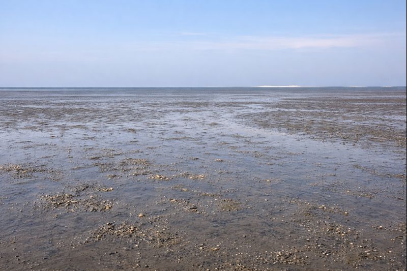 干潮時に現れた広い泥の干潟の風景