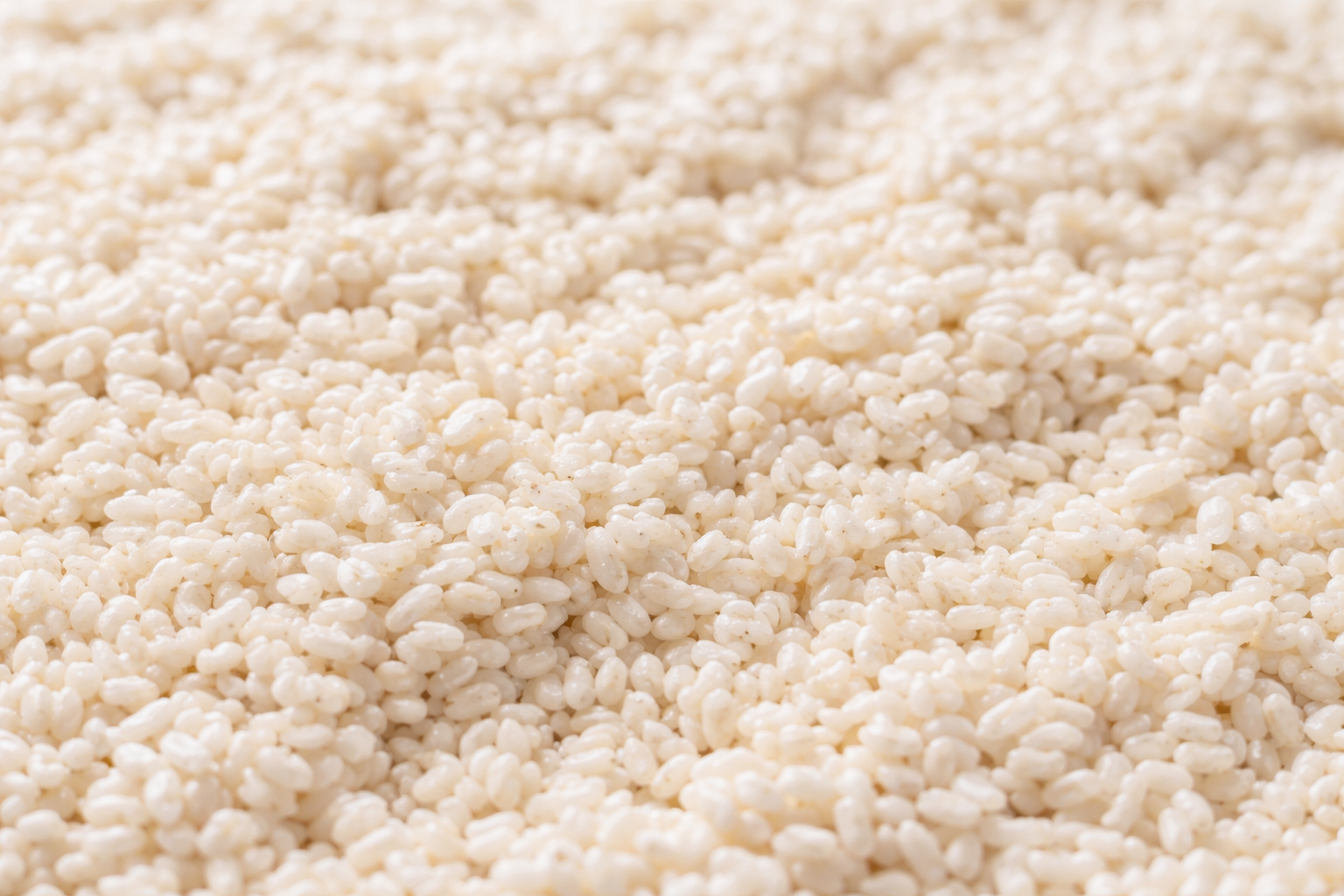 白くふっくらとした米麹が一面に広がる様子を横長で撮影した写真。粒の表面に菌糸の質感が見え、自然光でやわらかく写っている。
