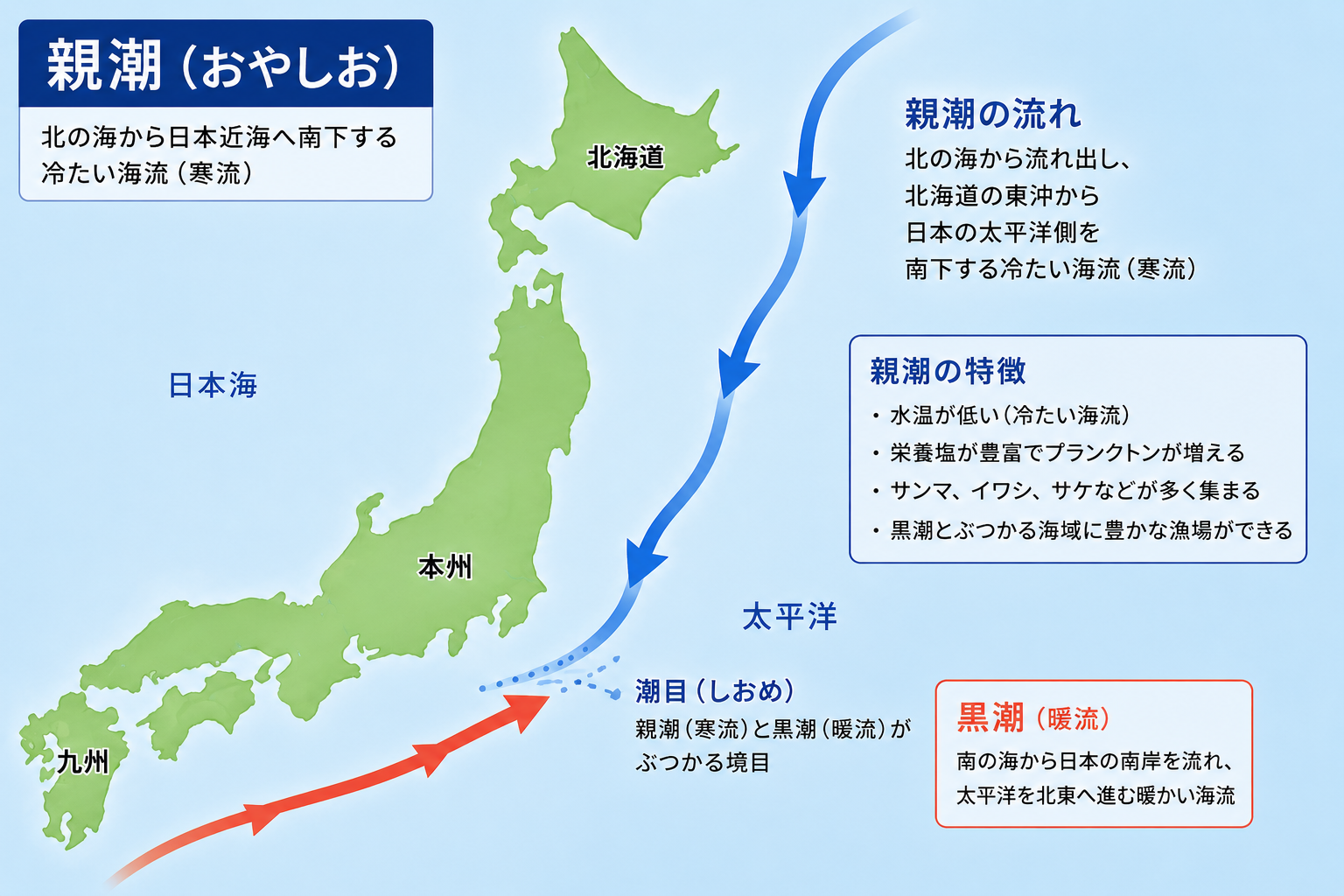 日本近海を南下する親潮の流れを示した地図。北海道沖から太平洋側へ流れる寒流と黒潮との潮目が描かれている。