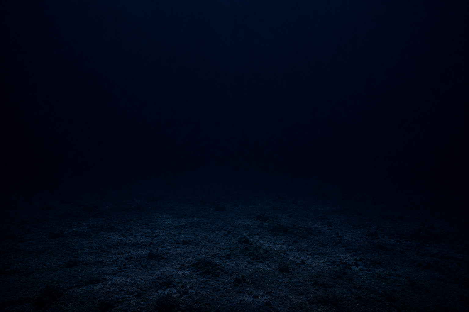 暗く静かな深海の海底風景。太陽光が届かない青黒い海の中に、広い海底が広がっている。