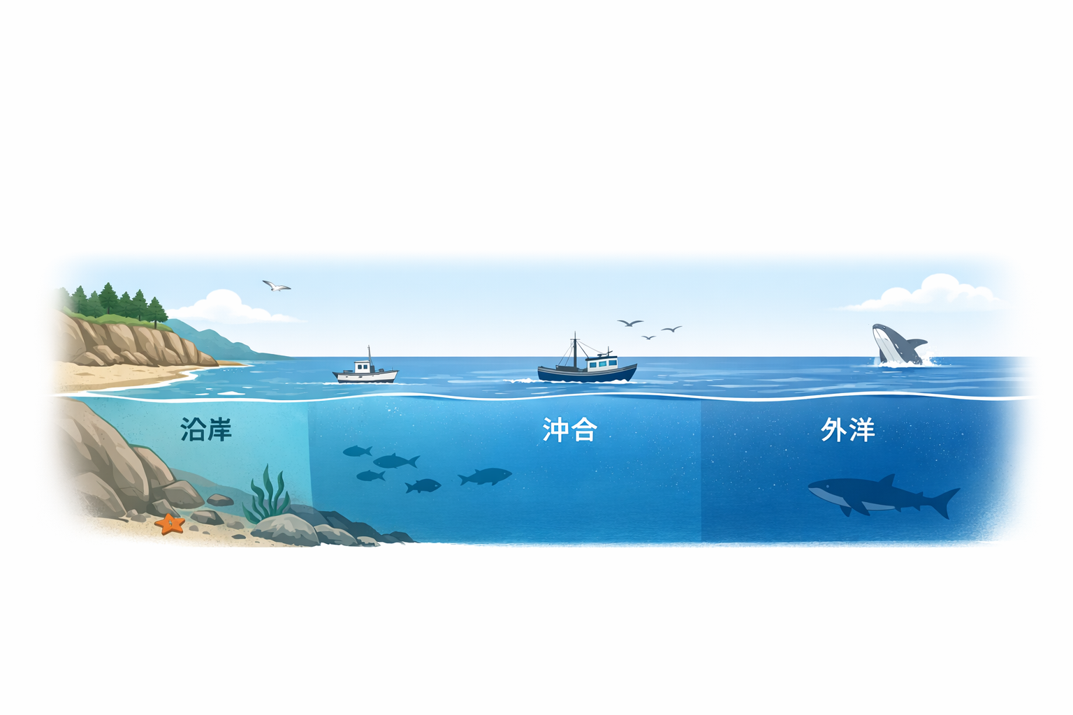 沿岸・沖合・外洋の違いを示した海域の模式図。海の深さや生き物の分布が描かれている。